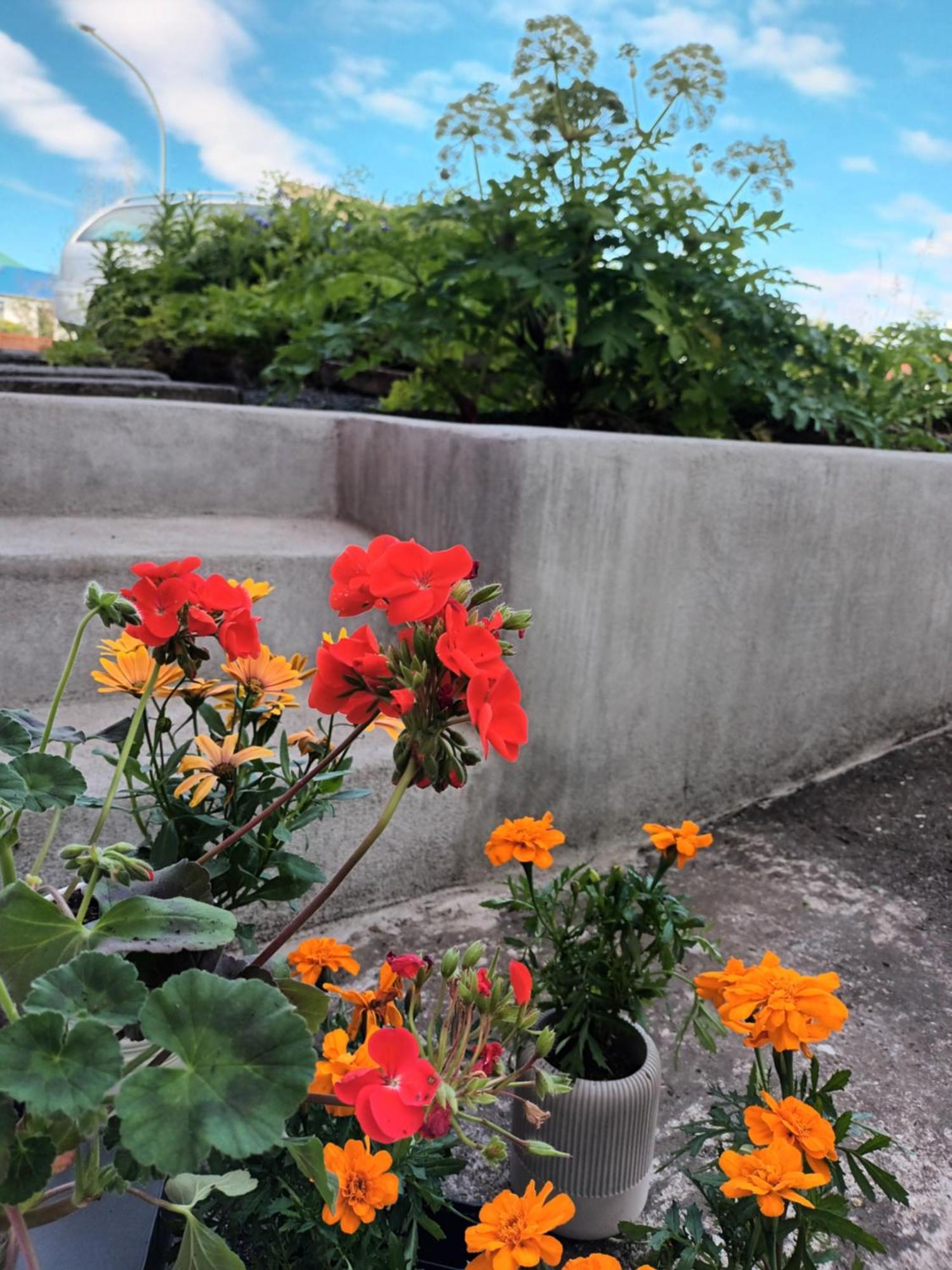 Lara Studio In Laugardalur Valley, Reykjavik Central Park And Botanical Garden, Private Entrance, Free Private Parking On Side Extérieur photo