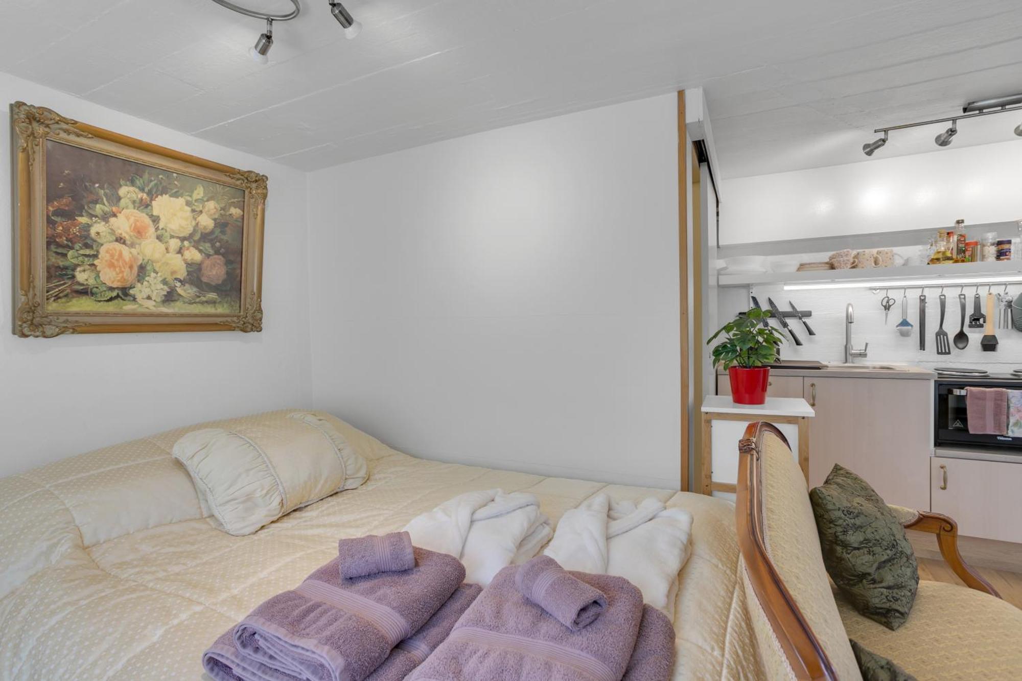 Lara Studio In Laugardalur Valley, Reykjavik Central Park And Botanical Garden, Private Entrance, Free Private Parking On Side Extérieur photo