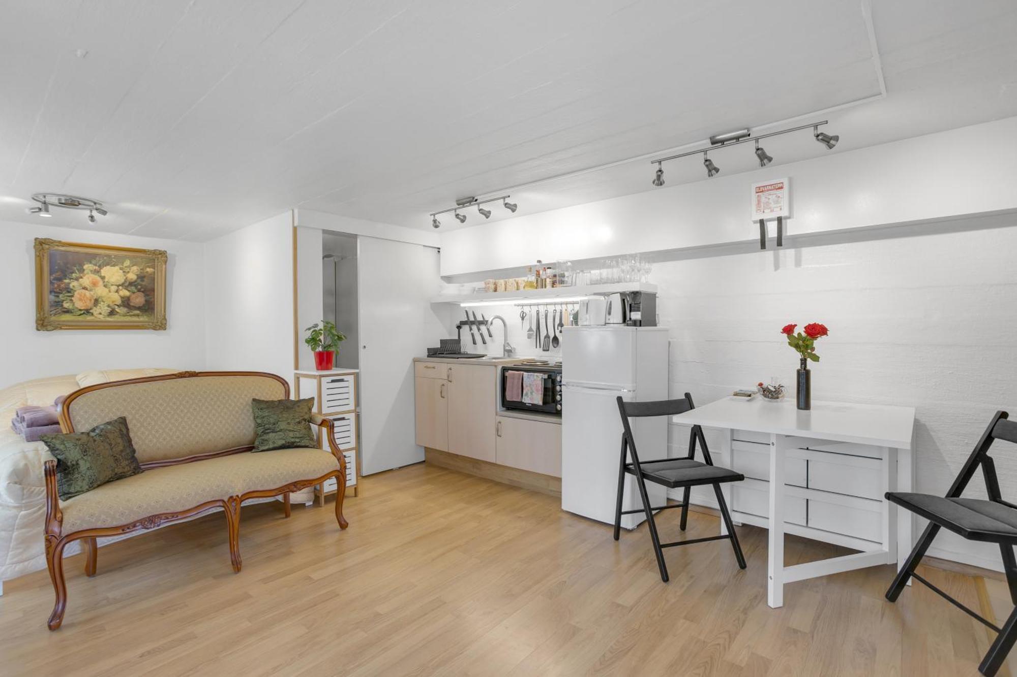 Lara Studio In Laugardalur Valley, Reykjavik Central Park And Botanical Garden, Private Entrance, Free Private Parking On Side Extérieur photo